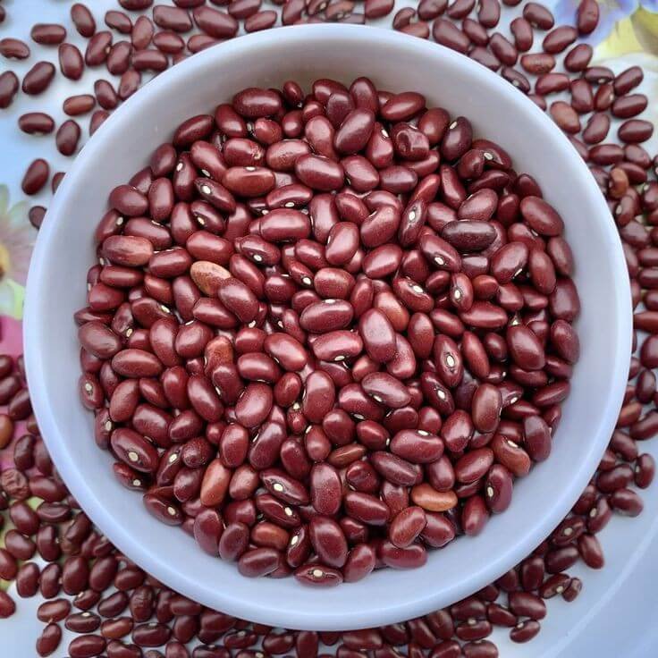 Rajma